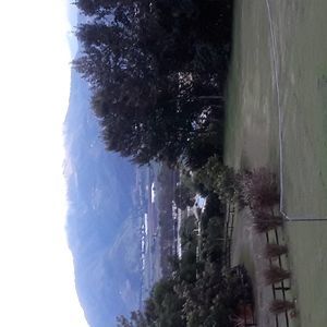 Meet your Posher, Dinorah